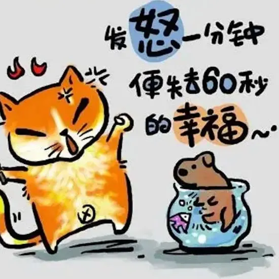 森林溪流高清画面